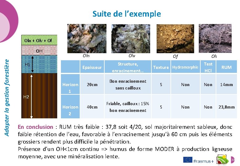 Suite de l’exemple Oln + Olv + Of Adapter la gestion forestière OH H