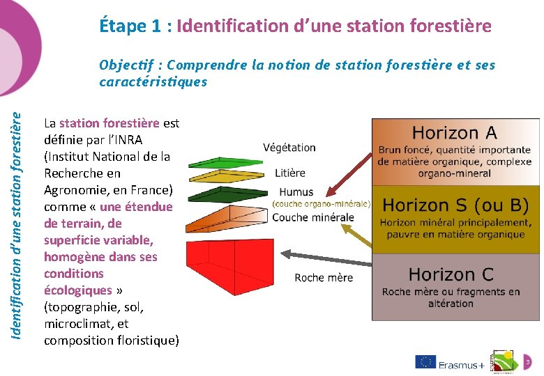 Étape 1 : Identification d’une station forestière Objectif : Comprendre la notion de station