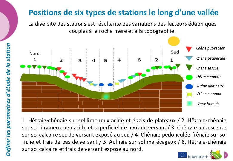 Positions de six types de stations le long d’une vallée Définir les paramètres d’étude