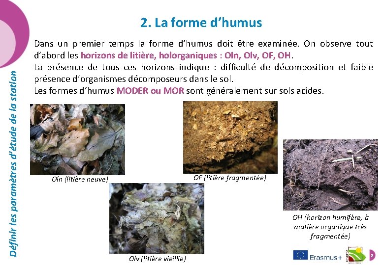 Définir les paramètres d’étude de la station 2. La forme d’humus Dans un premier