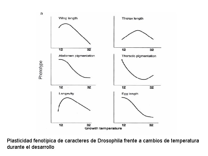 Plasticidad fenotípica de caracteres de Drosophila frente a cambios de temperatura durante el desarrollo