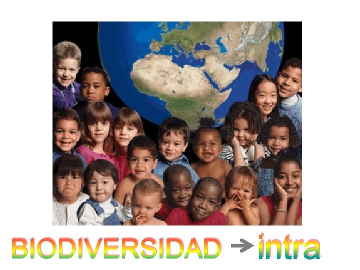 BIODIVERSIDAD intra 