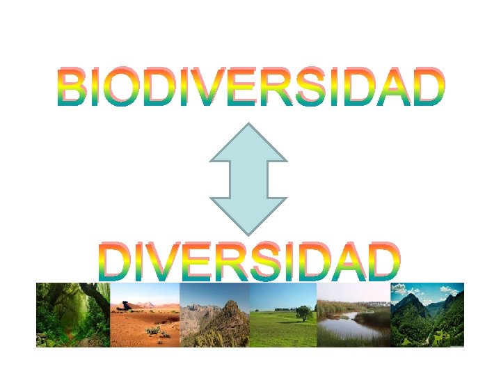 BIODIVERSIDAD 