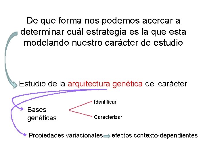De que forma nos podemos acercar a determinar cuál estrategia es la que esta
