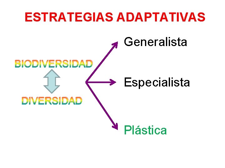 ESTRATEGIAS ADAPTATIVAS Generalista BIODIVERSIDAD Especialista DIVERSIDAD Plástica 