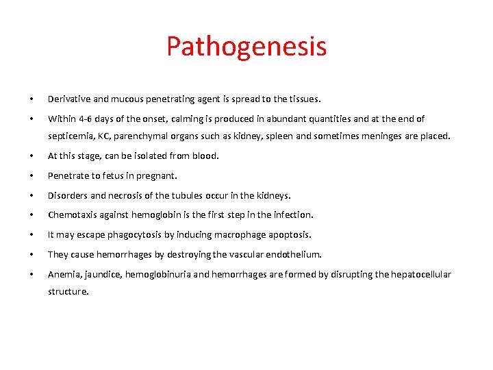 Pathogenesis • Derivative and mucous penetrating agent is spread to the tissues. • Within