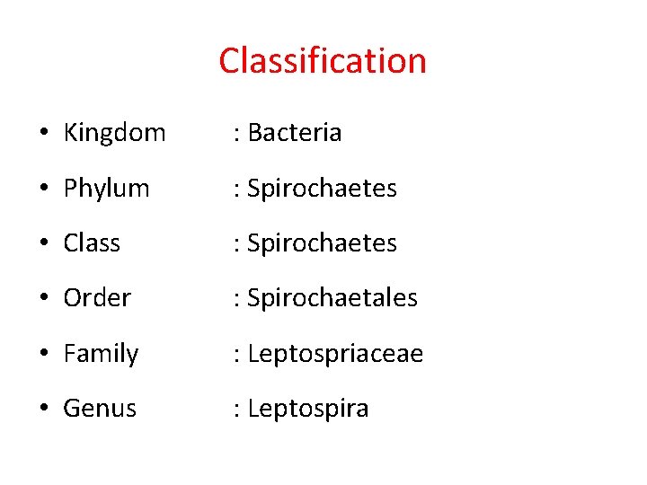 Classification • Kingdom : Bacteria • Phylum : Spirochaetes • Class : Spirochaetes •