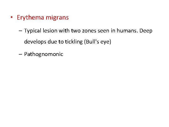  • Erythema migrans – Typical lesion with two zones seen in humans. Deep
