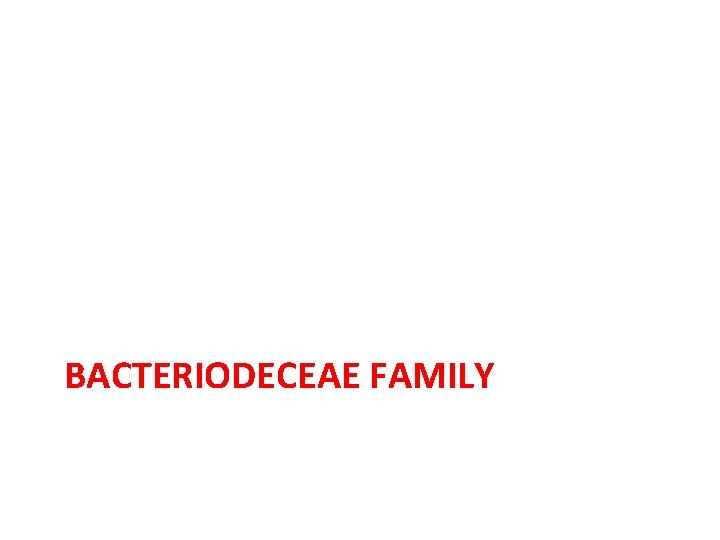 BACTERIODECEAE FAMILY 