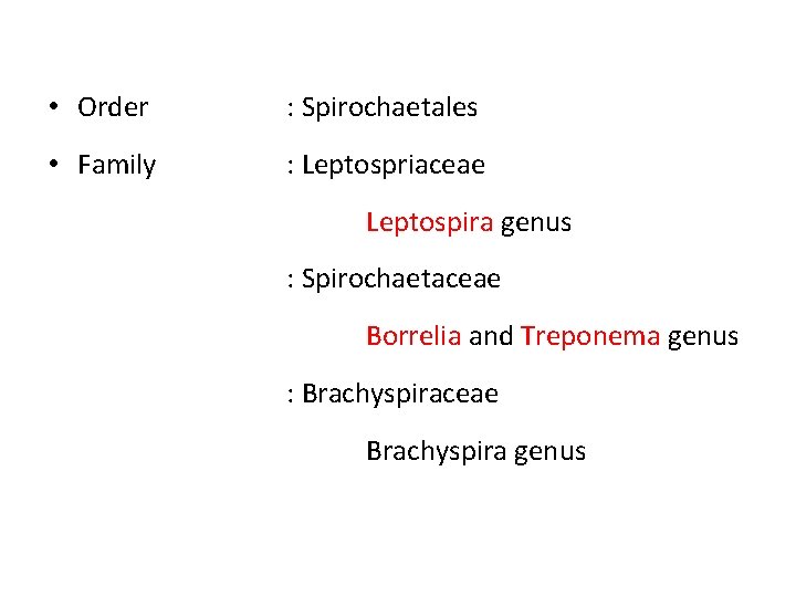 • Order : Spirochaetales • Family : Leptospriaceae Leptospira genus : Spirochaetaceae Borrelia