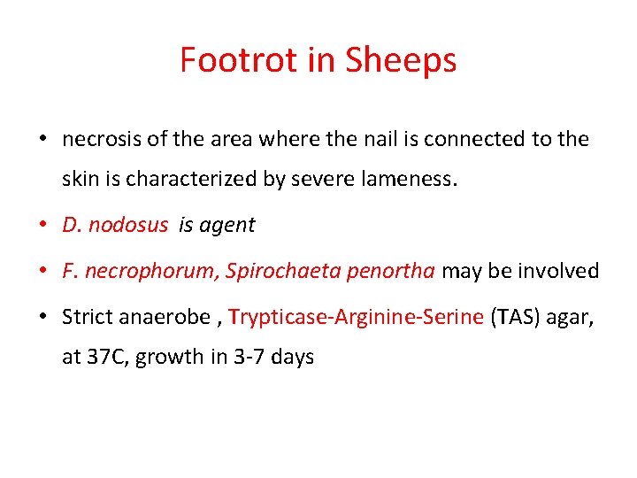 Footrot in Sheeps • necrosis of the area where the nail is connected to