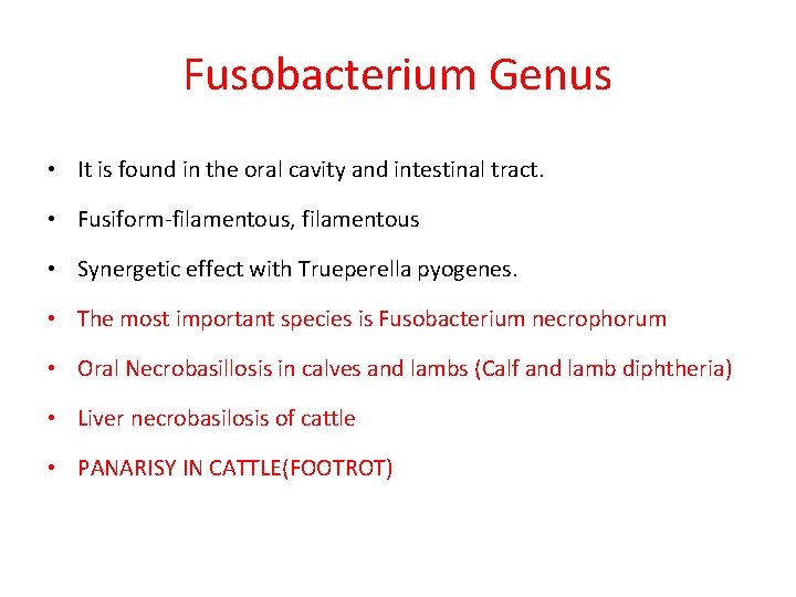 Fusobacterium Genus • It is found in the oral cavity and intestinal tract. •