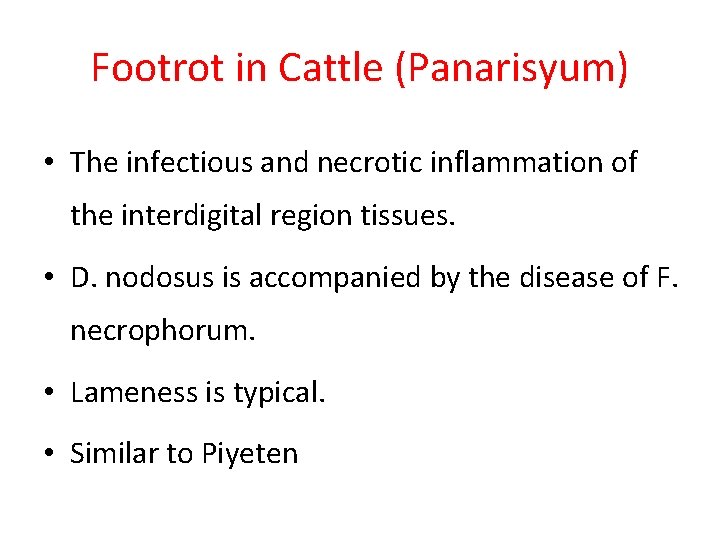 Footrot in Cattle (Panarisyum) • The infectious and necrotic inflammation of the interdigital region