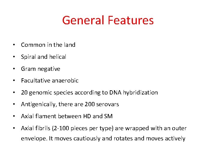 General Features • Common in the land • Spiral and helical • Gram negative