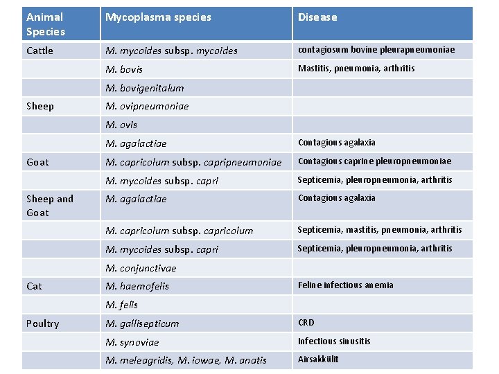 Animal Species Mycoplasma species Disease Cattle M. mycoides subsp. mycoides contagiosum bovine pleurapneumoniae M.