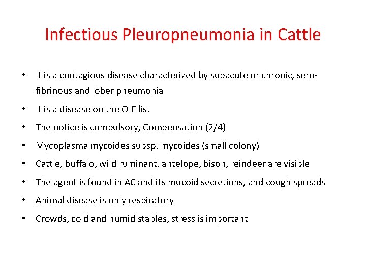 Infectious Pleuropneumonia in Cattle • It is a contagious disease characterized by subacute or