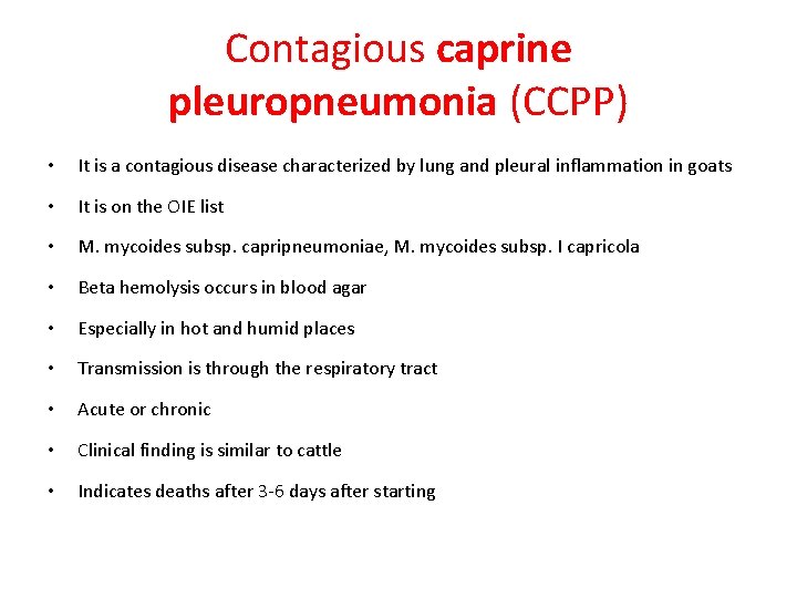 Contagious caprine pleuropneumonia (CCPP) • It is a contagious disease characterized by lung and