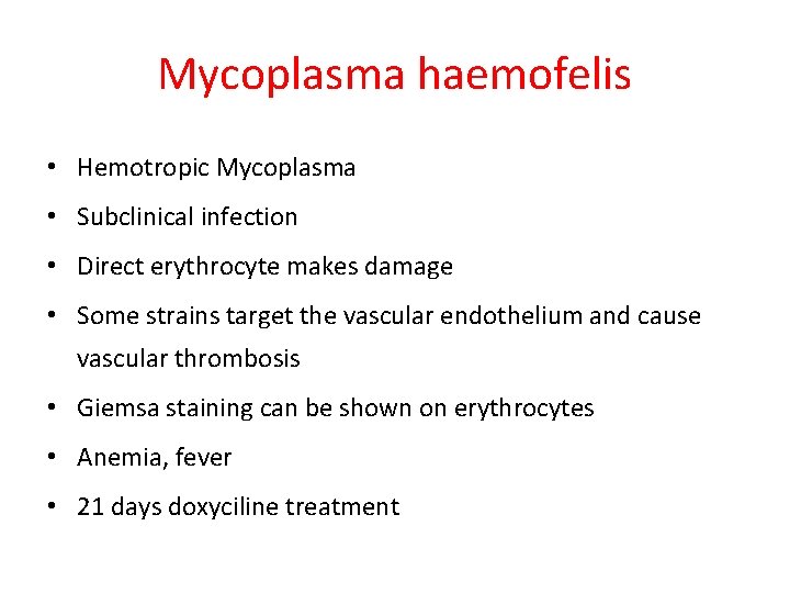Mycoplasma haemofelis • Hemotropic Mycoplasma • Subclinical infection • Direct erythrocyte makes damage •