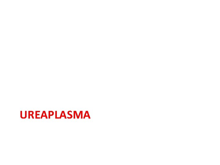 UREAPLASMA 