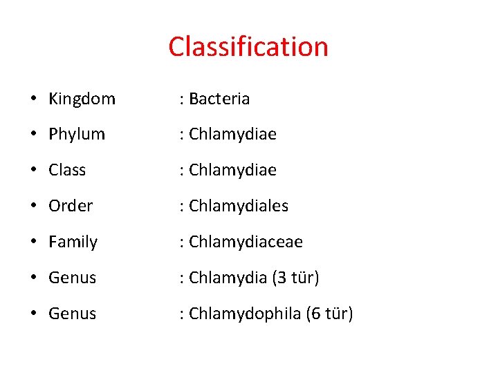 Classification • Kingdom : Bacteria • Phylum : Chlamydiae • Class : Chlamydiae •