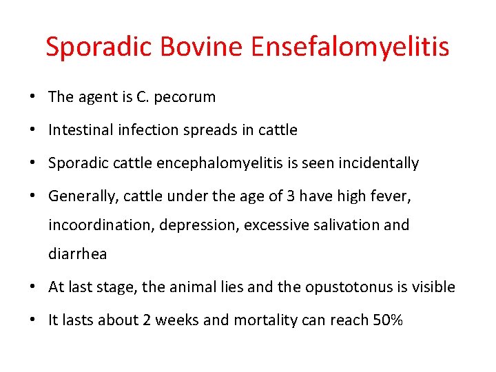 Sporadic Bovine Ensefalomyelitis • The agent is C. pecorum • Intestinal infection spreads in