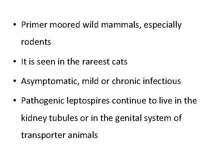  • Primer moored wild mammals, especially rodents • It is seen in the