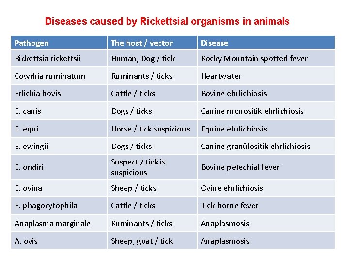Diseases caused by Rickettsial organisms in animals Pathogen The host / vector Disease Rickettsia