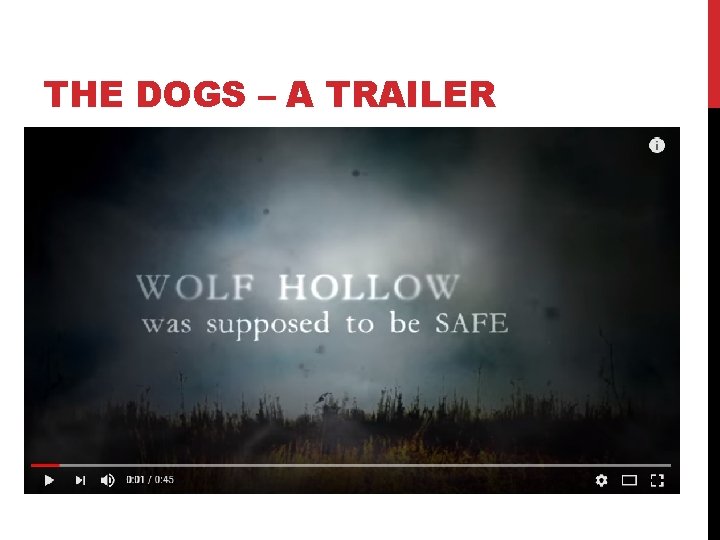 THE DOGS – A TRAILER 