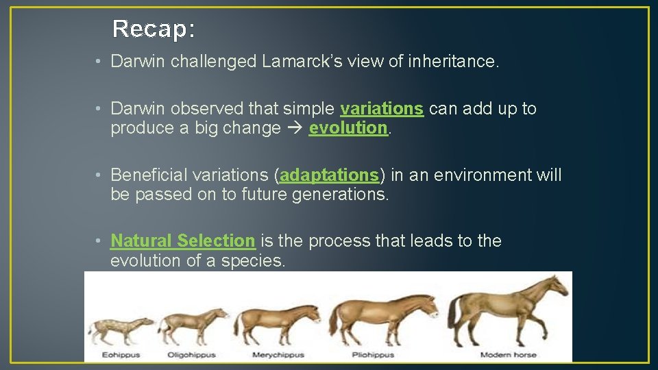 Recap: • Darwin challenged Lamarck’s view of inheritance. • Darwin observed that simple variations