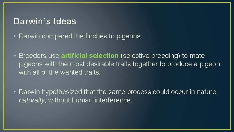 Darwin’s Ideas • Darwin compared the finches to pigeons. • Breeders use artificial selection