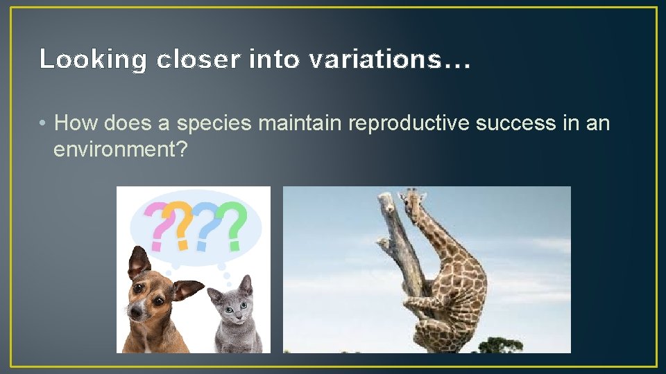 Looking closer into variations… • How does a species maintain reproductive success in an