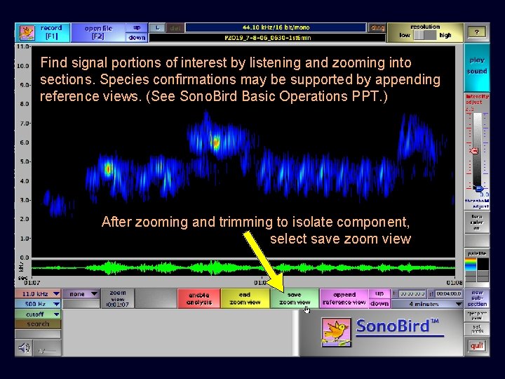 Find signal portions of interest by listening and zooming into sections. Species confirmations may