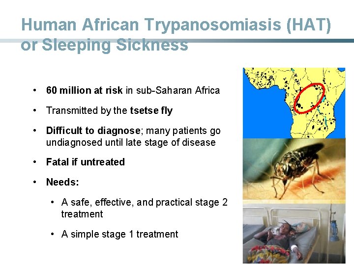 Human African Trypanosomiasis (HAT) or Sleeping Sickness • 60 million at risk in sub-Saharan