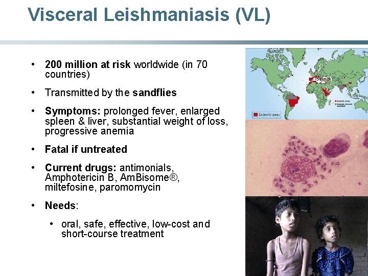 Visceral Leishmaniasis (VL) • 200 million at risk worldwide (in 70 countries) • Transmitted