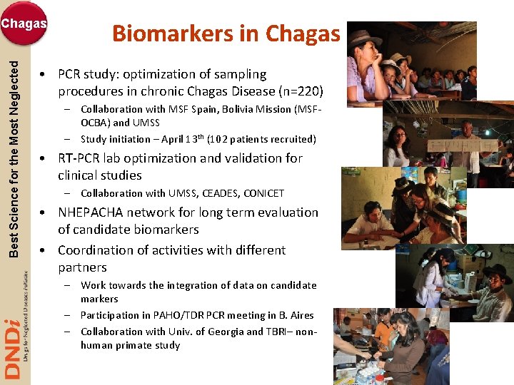 Best Science for the Most Neglected Chagas Biomarkers in Chagas • PCR study: optimization