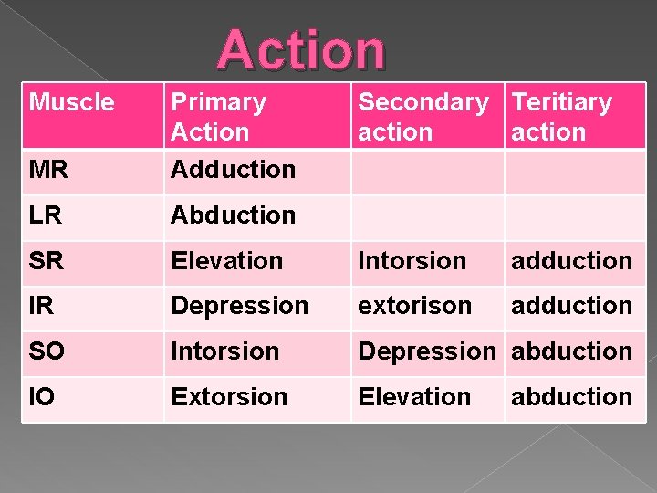 Action Muscle MR Primary Action Adduction Secondary Teritiary action LR Abduction SR Elevation Intorsion