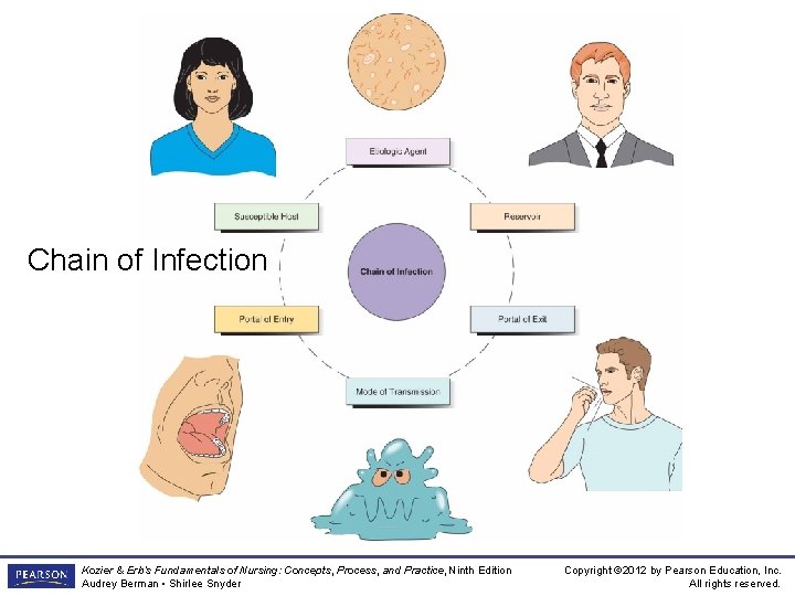 Figure 31 -1 The chain of infection Chain of Infection Kozier & Erb’s Fundamentals