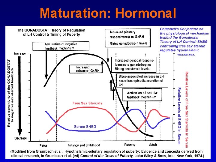 Maturation: Hormonal 