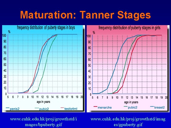 Maturation: Tanner Stages www. cuhk. edu. hk/proj/growthstd/i mages/bpuberty. gif www. cuhk. edu. hk/proj/growthstd/imag es/gpuberty.