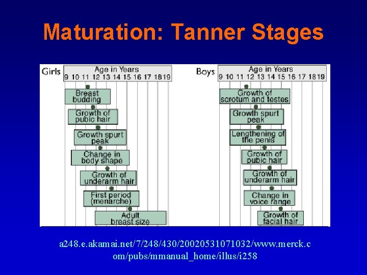 Maturation: Tanner Stages a 248. e. akamai. net/7/248/430/20020531071032/www. merck. c om/pubs/mmanual_home/illus/i 258 