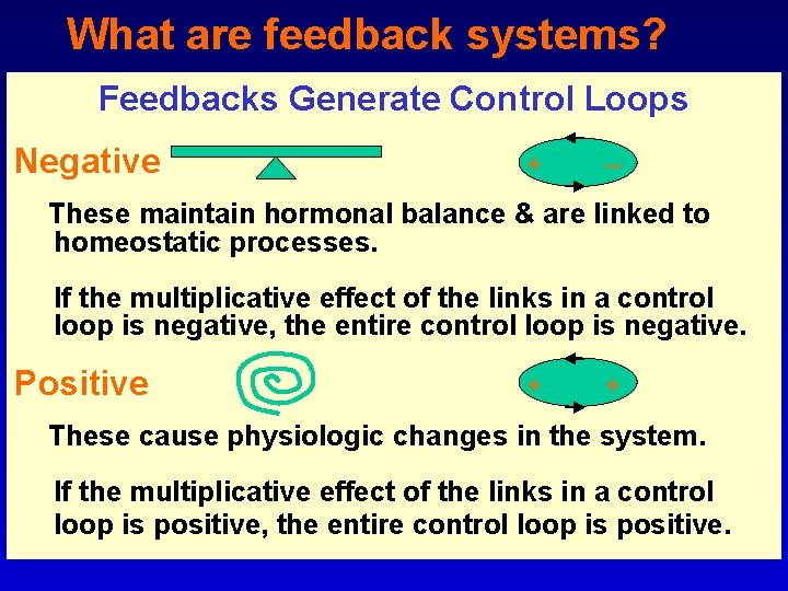 What are feedback systems? Feedbacks Generate Control Loops Negative + -- These maintain hormonal