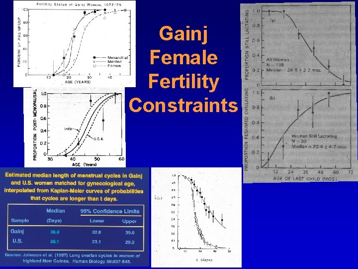 Gainj Female Fertility Constraints 