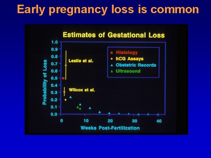 Early pregnancy loss is common 