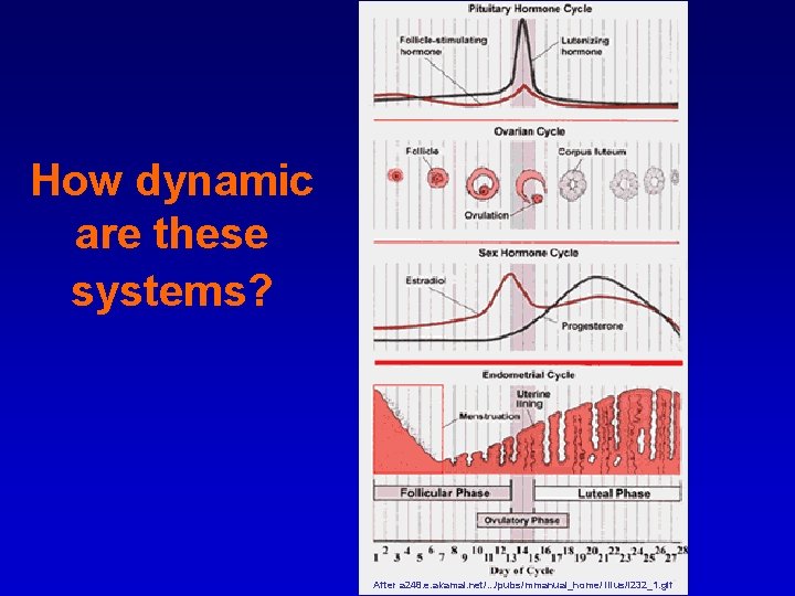 How dynamic are these systems? After a 248. e. akamai. net/. . . /pubs/mmanual_home/