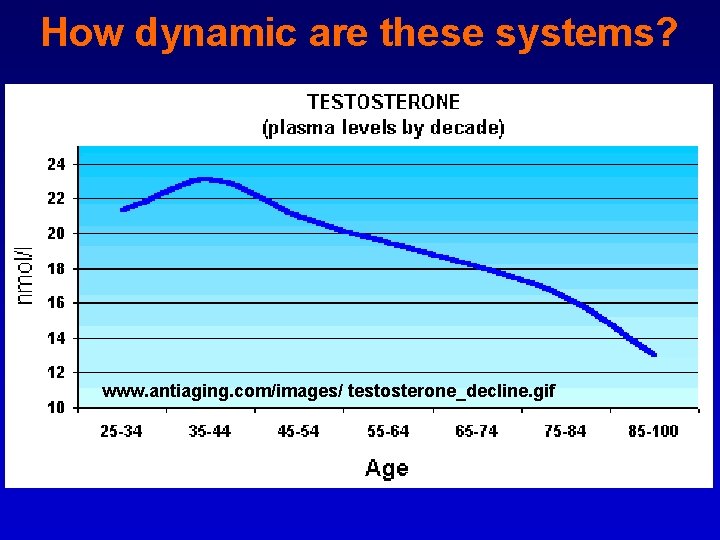 How dynamic are these systems? www. antiaging. com/images/ testosterone_decline. gif 