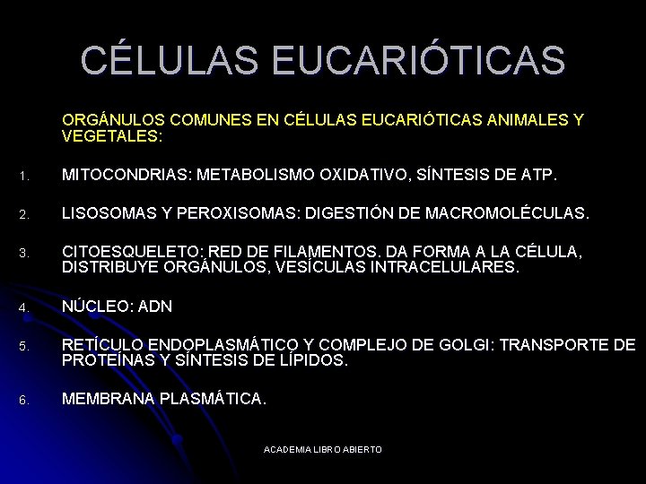 CÉLULAS EUCARIÓTICAS ORGÁNULOS COMUNES EN CÉLULAS EUCARIÓTICAS ANIMALES Y VEGETALES: 1. MITOCONDRIAS: METABOLISMO OXIDATIVO,