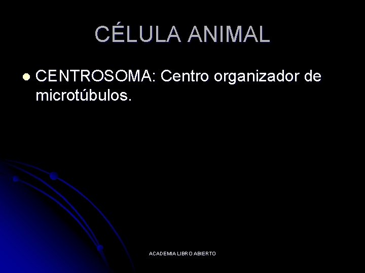 CÉLULA ANIMAL l CENTROSOMA: Centro organizador de microtúbulos. ACADEMIA LIBRO ABIERTO 