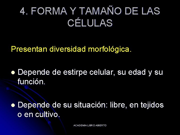 4. FORMA Y TAMAÑO DE LAS CÉLULAS Presentan diversidad morfológica. l Depende de estirpe