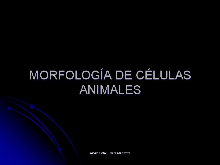 MORFOLOGÍA DE CÉLULAS ANIMALES ACADEMIA LIBRO ABIERTO 