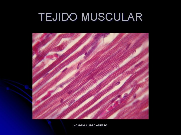 TEJIDO MUSCULAR ACADEMIA LIBRO ABIERTO 